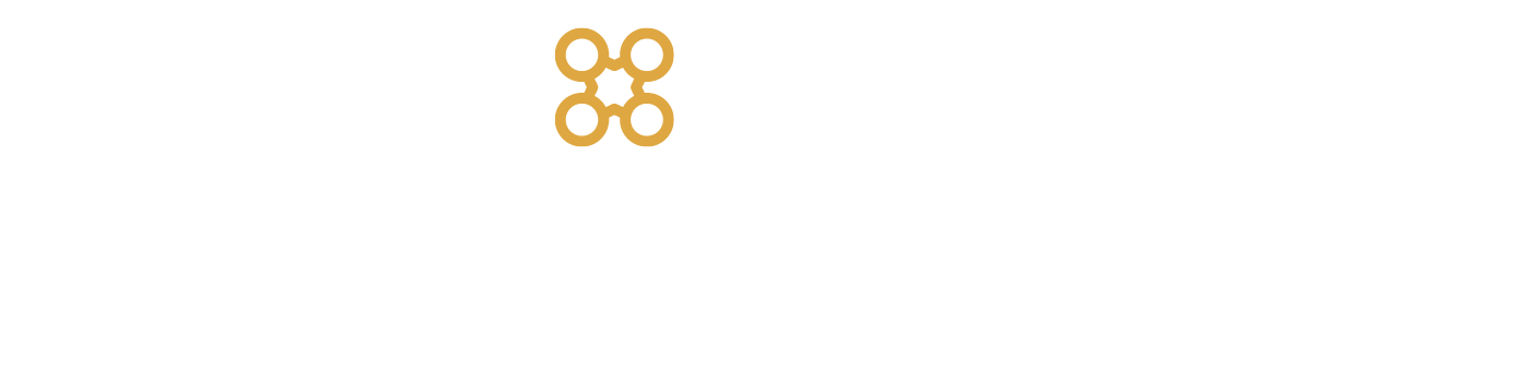 Drone Insurance Online primary logo in white
